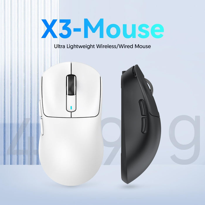 mouse